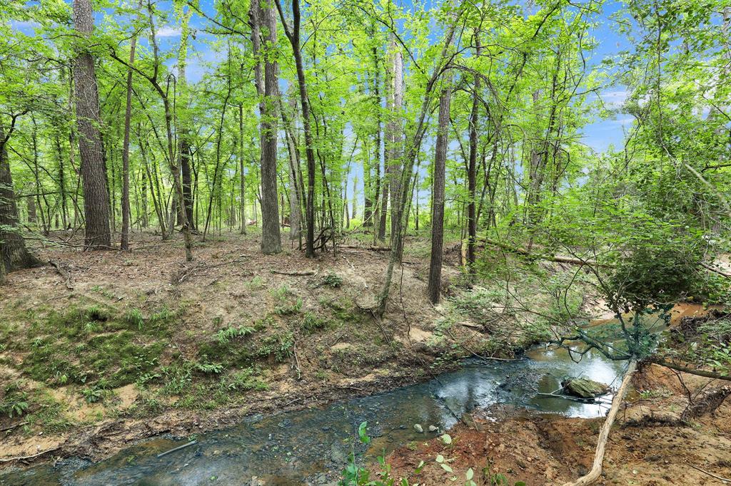 Polonio Cherino Surv Abs 191 U - Land