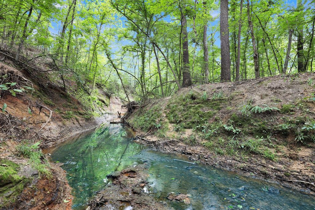 Polonio Cherino Surv Abs 191 U - Land