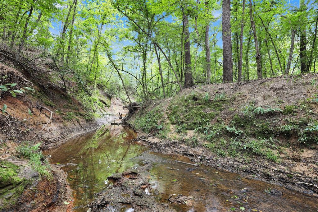 Polonio Cherino Surv Abs 191 U - Land