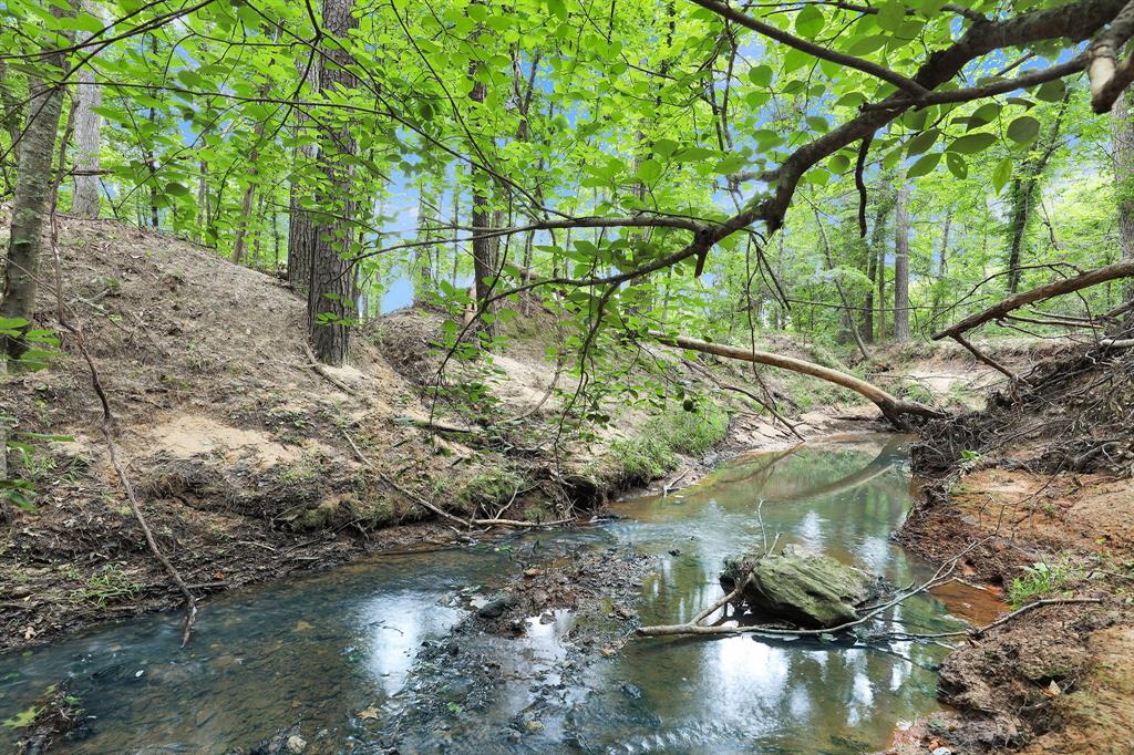 Polonio Cherino Surv Abs 191 U - Land