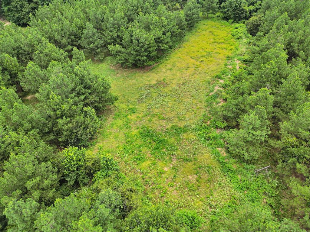 Polonio Cherino Surv Abs 191 U - Land