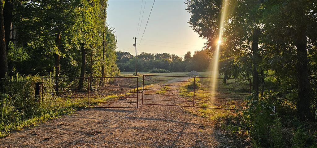 Leander Smith Surv Abs #768 - Farm