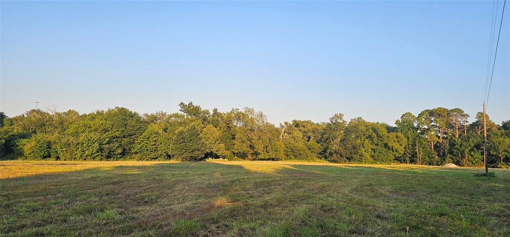 Leander Smith Surv Abs #768 - Farm