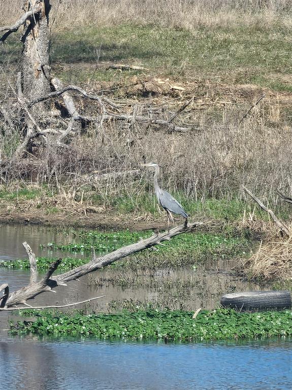 Leander Smith Surv Abs #768 - Farm