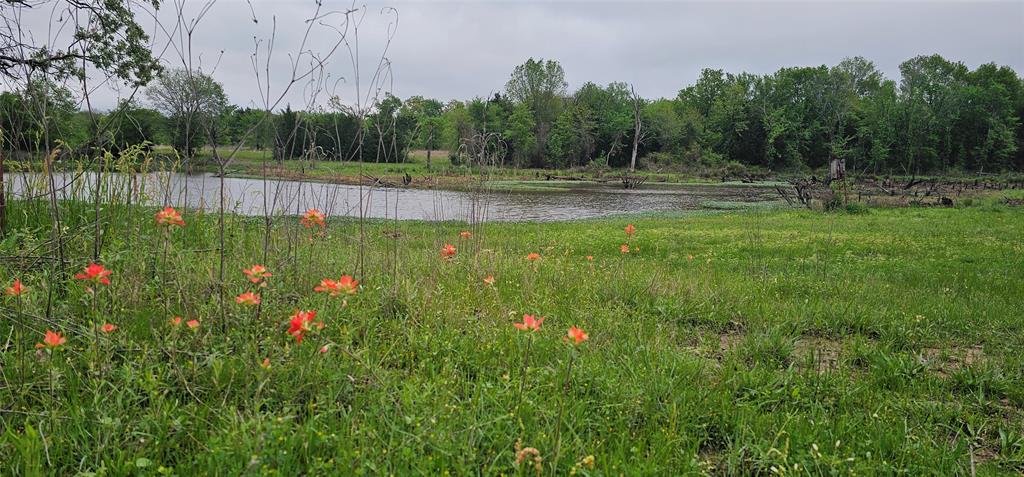 Leander Smith Surv Abs #768 - Farm