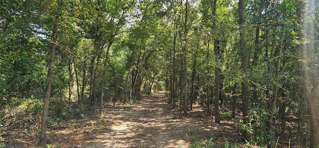 Leander Smith Surv Abs #768 - Farm