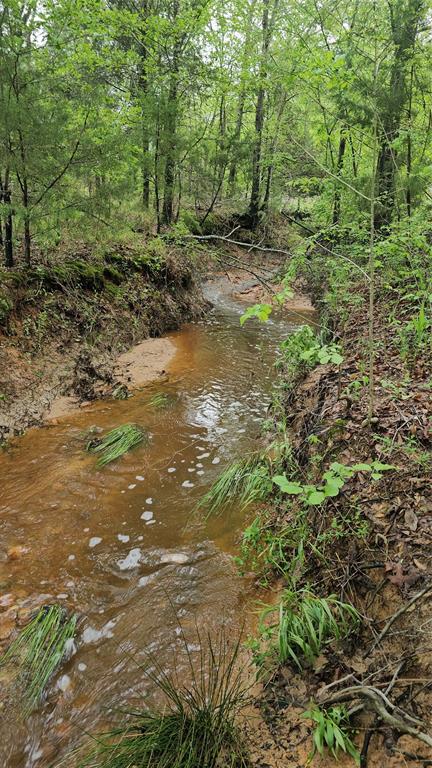 Leander Smith Surv Abs #768 - Farm