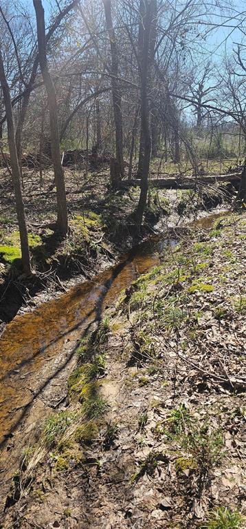 Leander Smith Surv Abs #768 - Farm