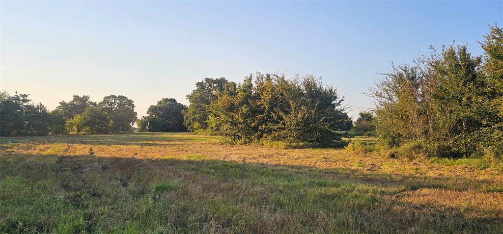 Leander Smith Surv Abs #768 - Farm