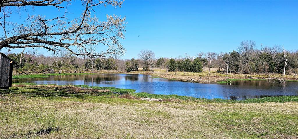 Leander Smith Surv Abs #768 - Farm