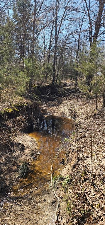 Leander Smith Surv Abs #768 - Farm