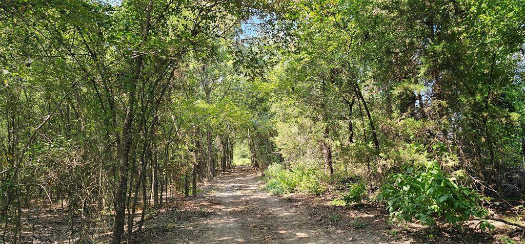 Leander Smith Surv Abs #768 - Farm