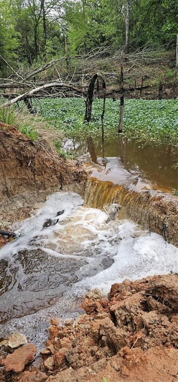 Leander Smith Surv Abs #768 - Farm