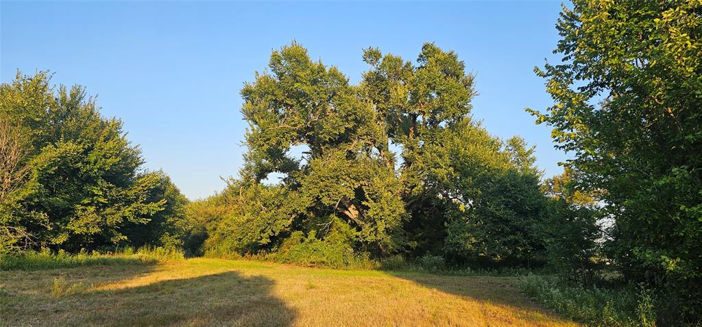 Leander Smith Surv Abs #768 - Farm