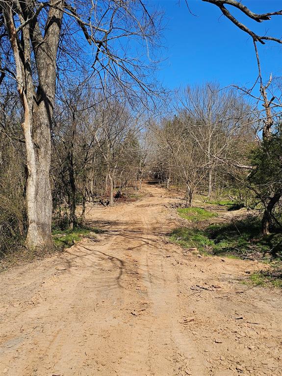 Leander Smith Surv Abs #768 - Farm