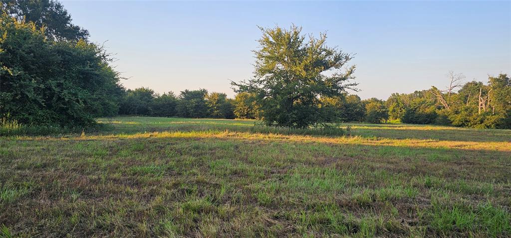 Leander Smith Surv Abs #768 - Farm