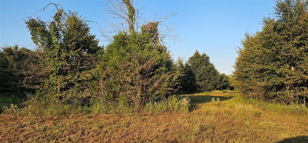 Leander Smith Surv Abs #768 - Farm