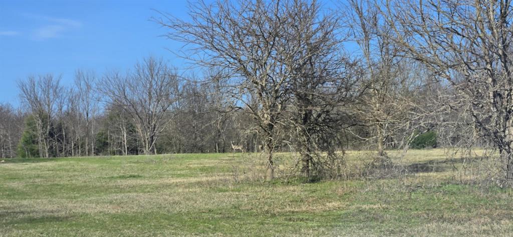 220 Private Road 6531