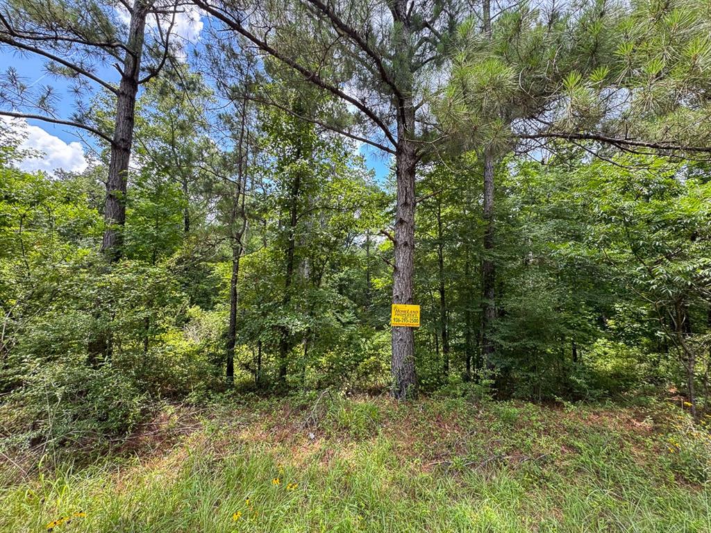 1 Posey Webb Camp Road