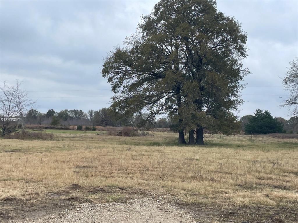 P.Cline Survey Abstract No.91 - Land