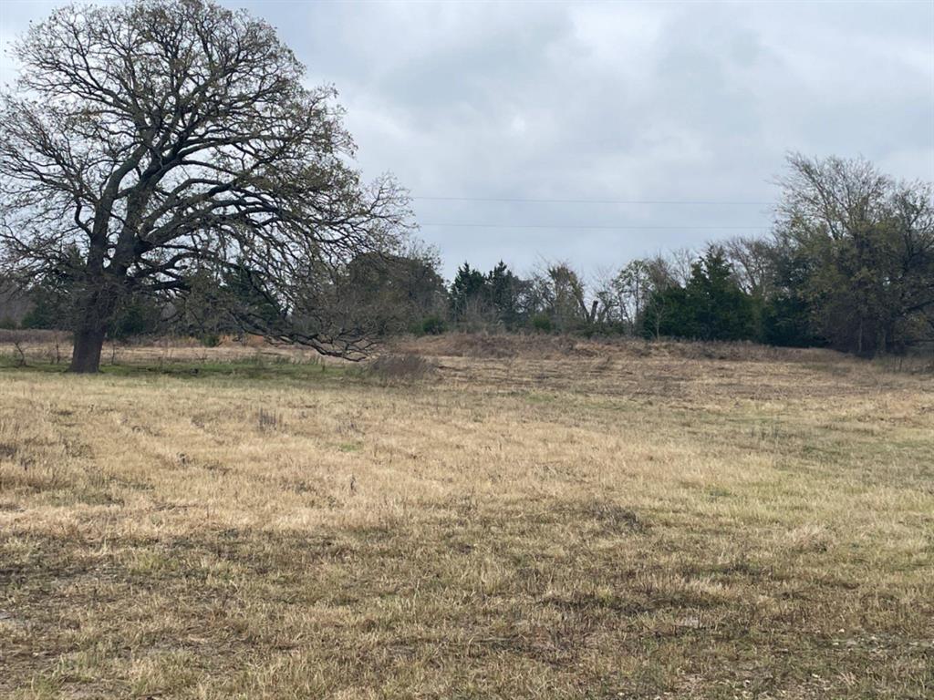 P.Cline Survey Abstract No.91 - Land