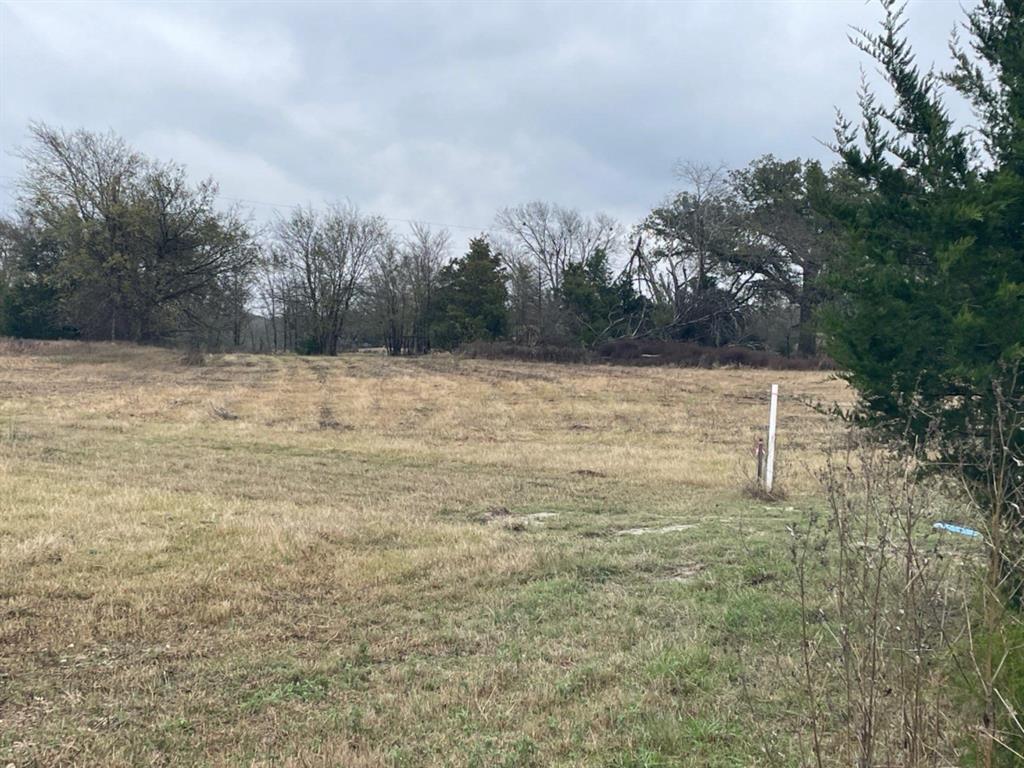 P.Cline Survey Abstract No.91 - Land