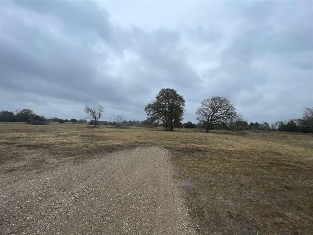 P.Cline Survey Abstract No.91 - Land