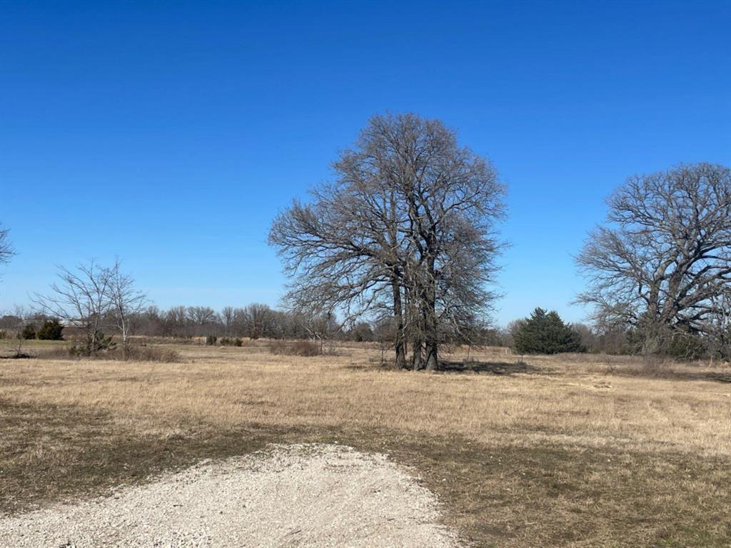 P.Cline Survey Abstract No.91 - Land