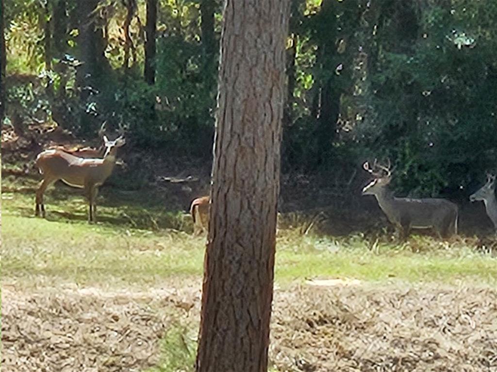 Payne H - Residential