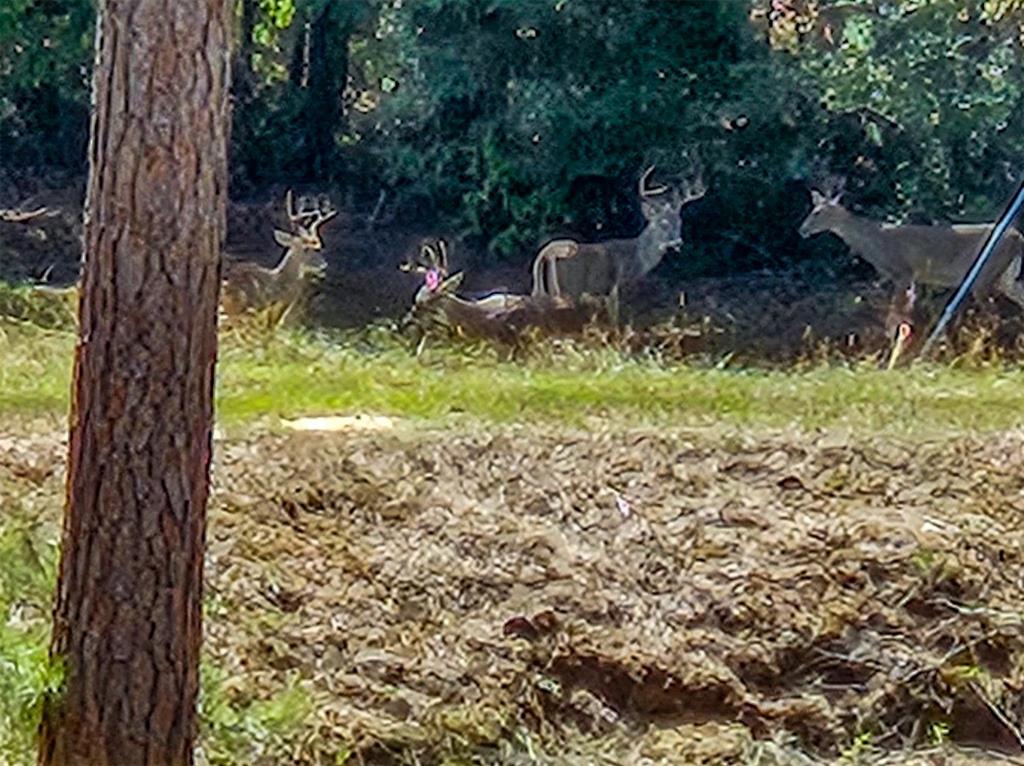 Payne H - Residential