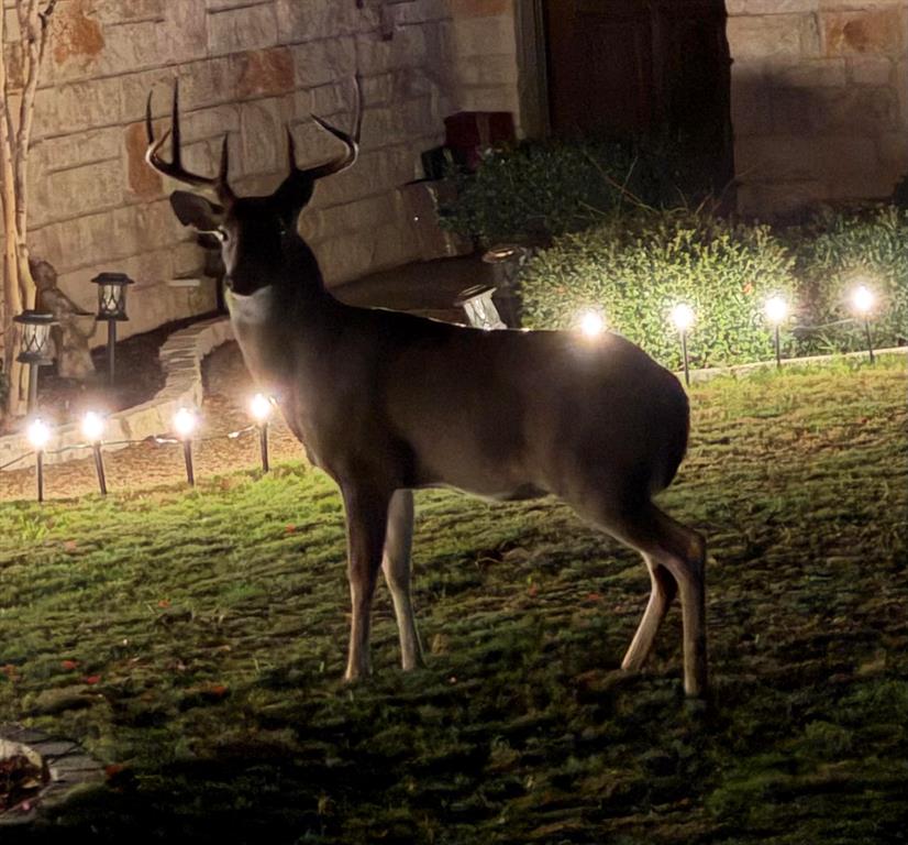 White Bluff #16 - Land