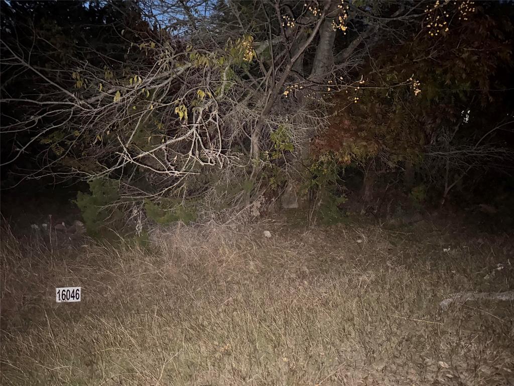 White Bluff #16 - Land