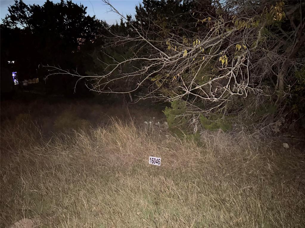 White Bluff #16 - Land