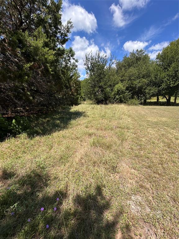 White Bluff #16 - Land