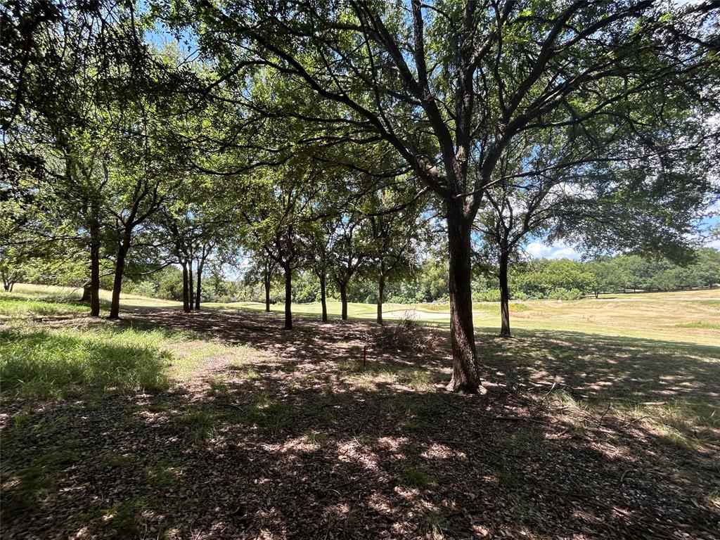 White Bluff #16 - Land