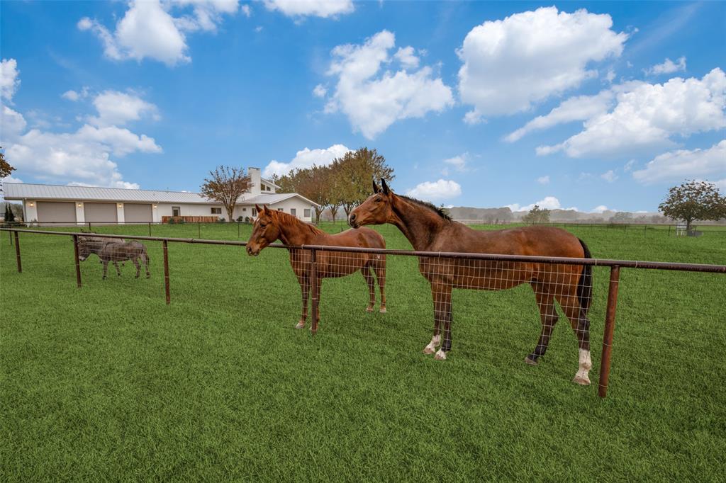 Hickory Knoll - Residential