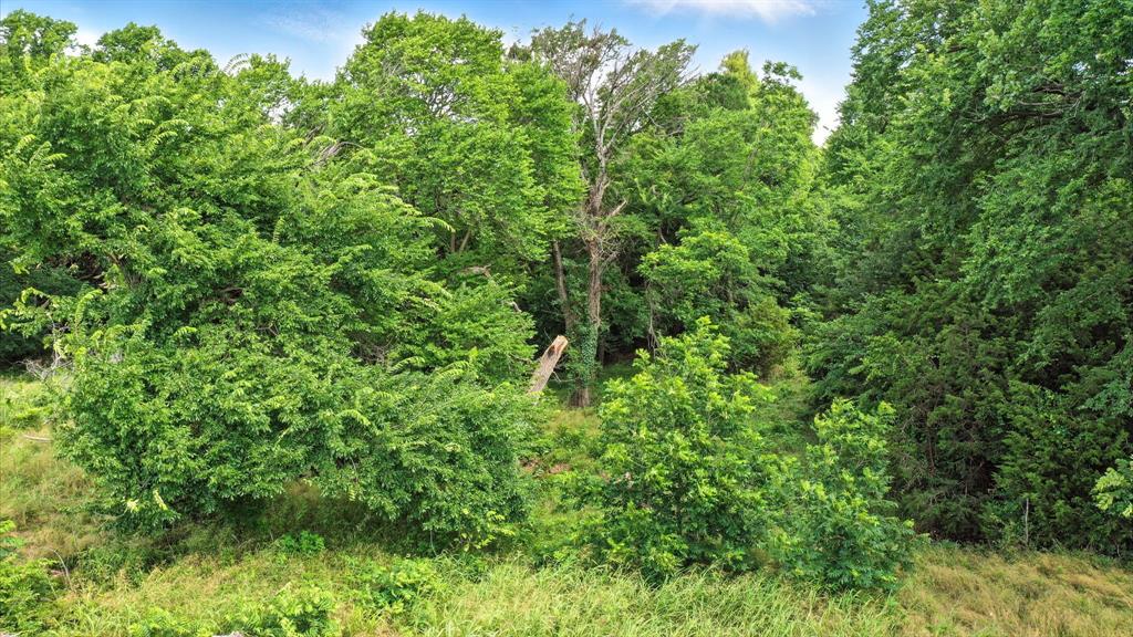 Haydon Creek Ranch - Land