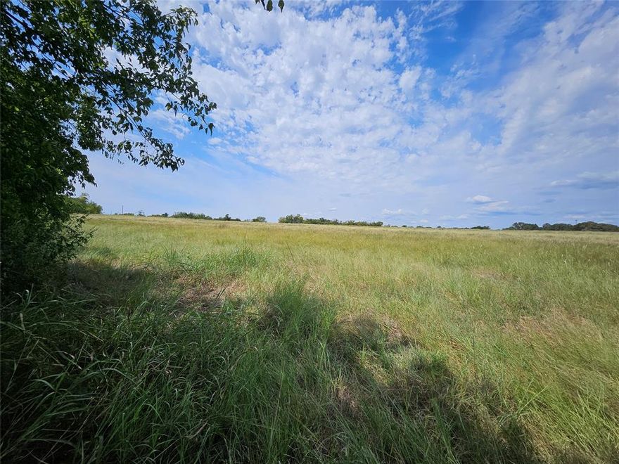 Looking to build a development or just your own peace of paradise next to Lake Whitney? This lot is perfect for you! Lot 4 and 5 can be combined to be sold together for a whopping 18 acres! Inquire today to get a copy of the restrictive covenants and see if this is the right property for you!