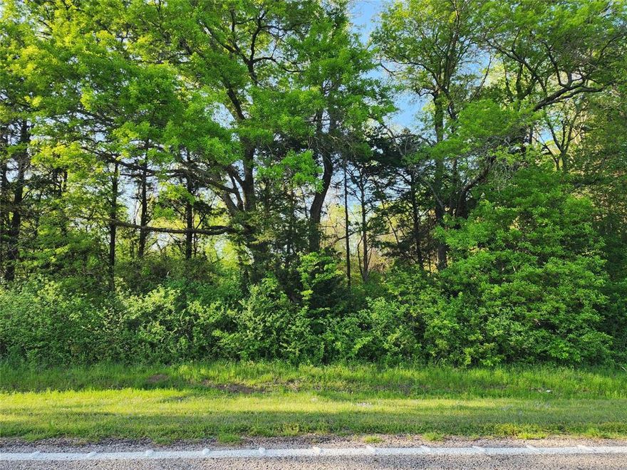 This rare, secluded, tree-lined lot is ready for a dream home, or private weekend retreat. Nestled amongst the mature trees, you'll find a pond for fishing on the south end of the lot. There is a small clearing on the property perfect for a home site near the back of the lot and a clearing near the back for a driveway. Water and electric are at the road.  Less than 3 miles from Highway 69. 9 miles from Greenville, 34 miles to McKinney.