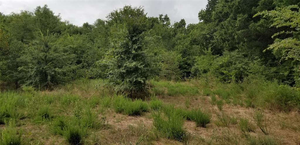 S2836 EZ Junior Addn - Land