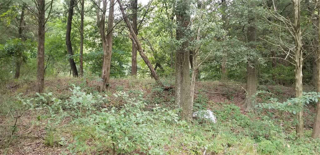 S2836 EZ Junior Addn - Land