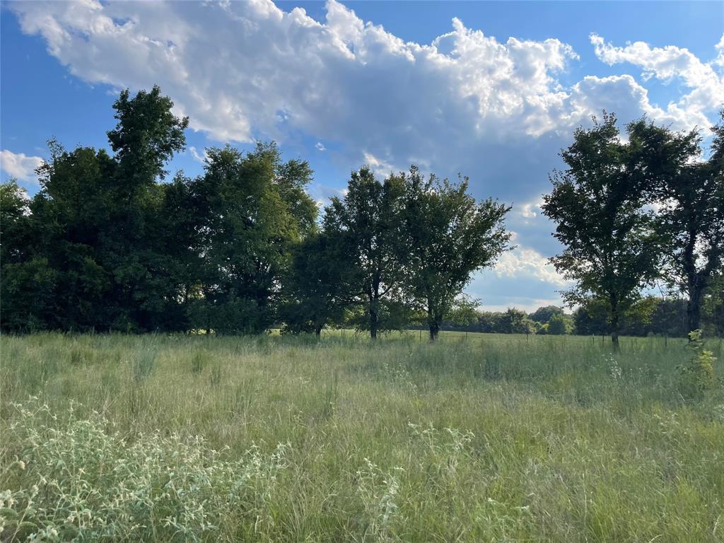 padilla delores - Land