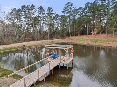 Tiny photo for 5466 Glenwood Drive, Gilmer, TX 75645 (MLS # 21198484)