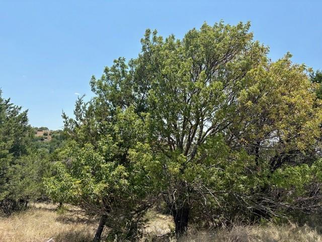 Lot 246 Broadmoor Court