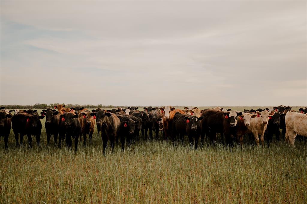 A0058 191 BBB AND C  TRACT 4 - Farm