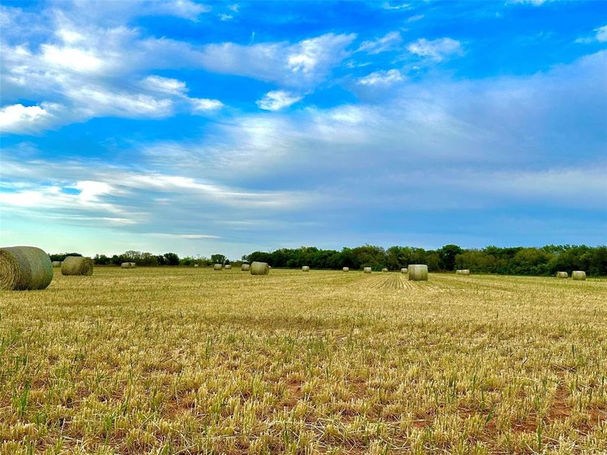 163.7 BEAUTIFUL acres located in the heart of farm country. Located along the California Creek, only 15 min southeast of Stamford, TX. Land is currently used for winter wheat grazing for cattle. Extremely fertile soil. An abundance of wildlife including Turkey, Whitetail Deer, Dove and Wild Hogs. On the South side of the creek there was a new fence built this year on three sides. Good functioning water well with solar pump. There is road frontage on two sides. Income Producing property. The current owner would be interested in leasing back for grazing.