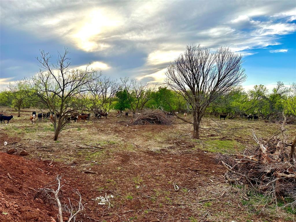 A0058 191 BBB AND C  TRACT 4 - Farm