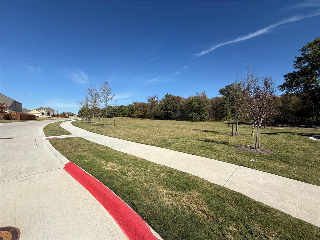 shaded tree - Residential Lease