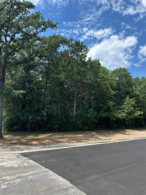 Photo of 13 Castle, Gordonville, TX 76273 (MLS # 21306897)