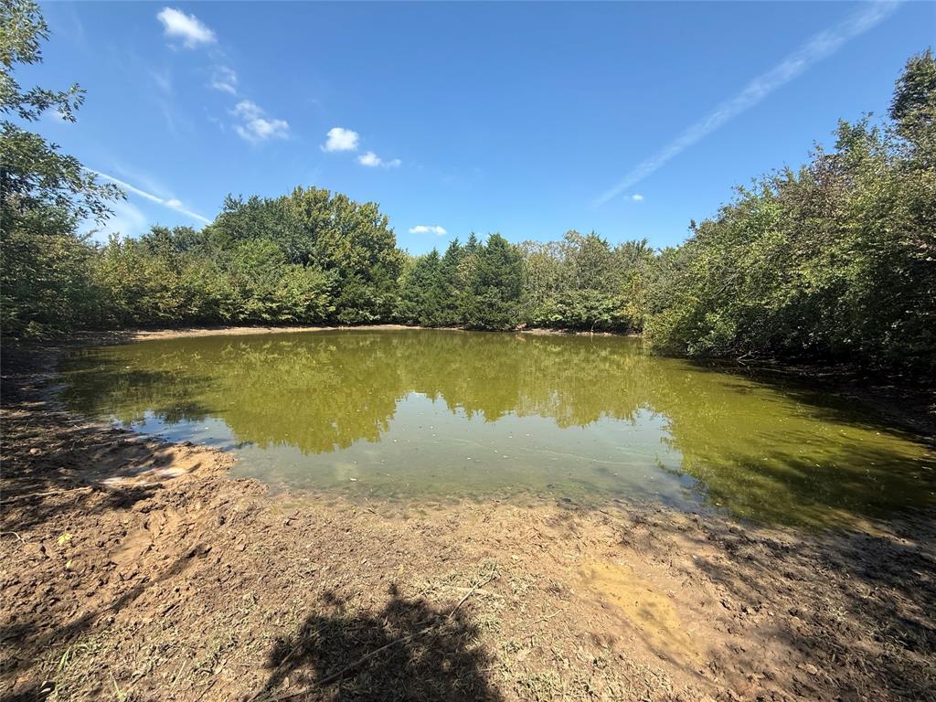 WBISD RURAL CLS 4 - Farm